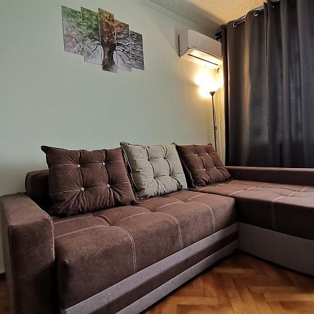 Ferienwohnung Apartament Giulia Făgăraş Exterior foto